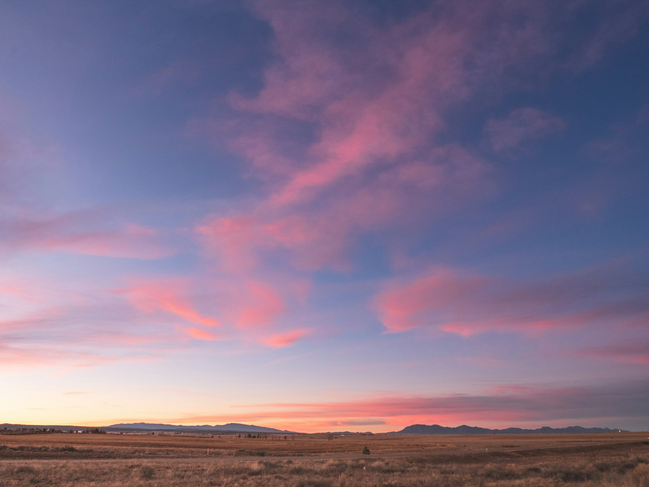 brown field under orange and blue sky